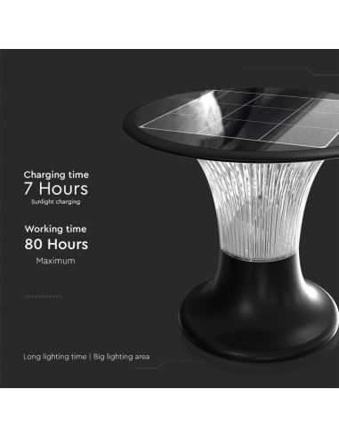 23005-Lampada LED Solare  da Terra Batteria LiFePO V Colore Nero CCT  -7