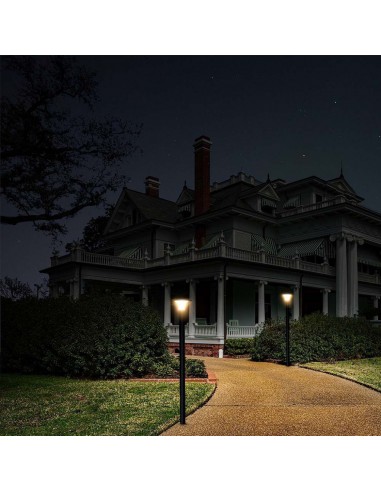 23006-Lampada LED Solare  da Terra con Palo e Batteria LiFePO V Colore Nero CCT  -3