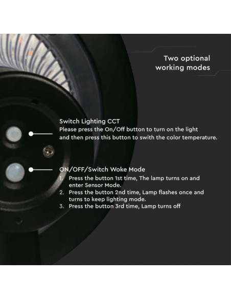 Lampada LED Solare 15W da Terra con Palo e Batteria LiFePO4 3.2V Nero CCT: 6000K+4000K IP65