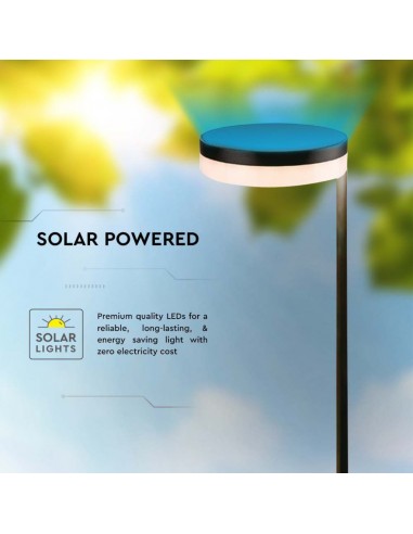 23011-Piantana Solare LED da Giardino  Colore Nero  IP-6