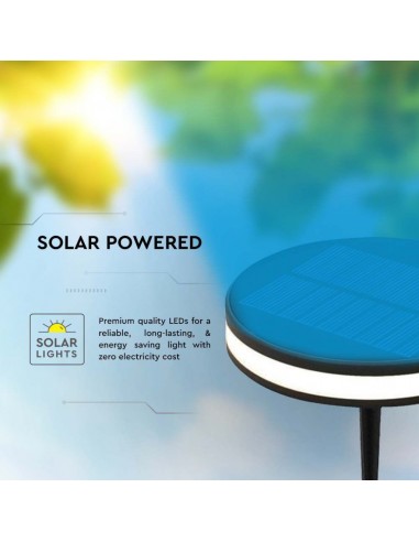 23015-Piantana Solare LED da Giardino  con Picchetto Colore Nero e Nero  IP-5