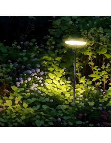 23021-Lampada LED da Giardino  con Picchetto a con Doppio Fissaggio a Terra Colore Antracite dxhcm  -4
