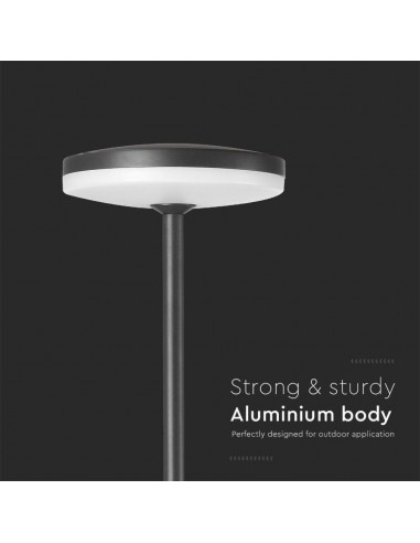 23021-Lampada LED da Giardino  con Picchetto a con Doppio Fissaggio a Terra Colore Antracite dxhcm  -7