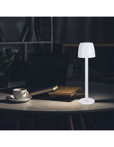 23095-Lampada LED da Tavolo  Colore Bianco e Trasparente Ricaricabile con USB C Touch Dimmerabile -4