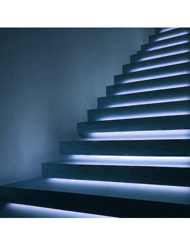 23142-Strip LED COB- /m m V Colore Blu  mm-4