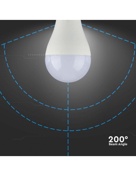 Lampadina LED Chip Samsung E27 15W A65 6500K