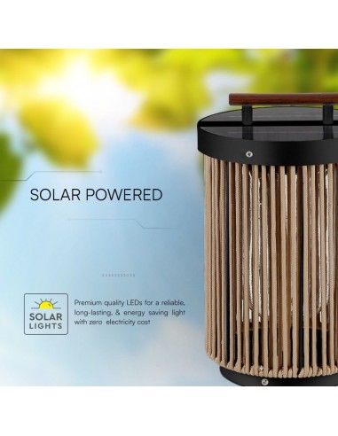 23349-Lampada Solare LED da Terra  con Telecomando  -4