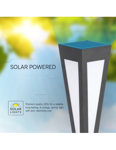 23350-Piantana Solare LED da Giardino  cm con Telecomando Colore Nero  -5