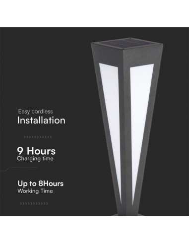 23350-Piantana Solare LED da Giardino  cm con Telecomando Colore Nero  -6