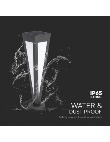 Piantana Solare LED da Giardino 2W...