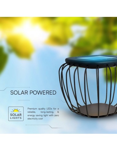 23384-Lampada LED Decorativa  con Pannello Solare  Corpo Grigio xmm CCT  IP-6