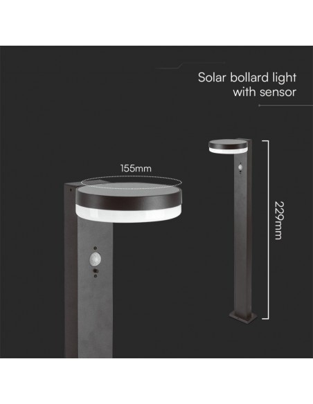 23399-Piantana Solare LED da Giardino Rotonda con Sensore PIR  Corpo Nero   IP-2