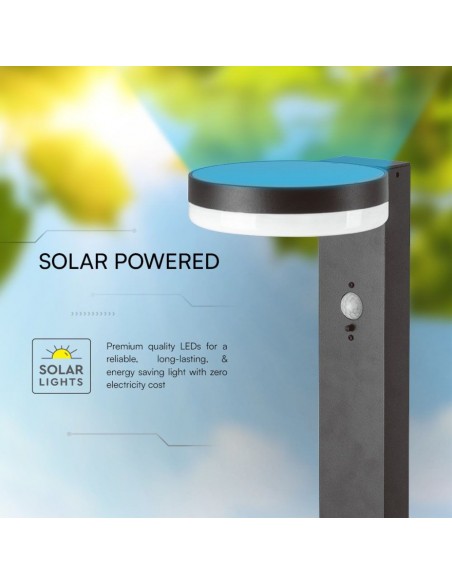 23399-Piantana Solare LED da Giardino Rotonda con Sensore PIR  Corpo Nero   IP-5