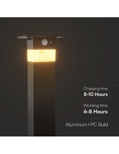 23401-Piantana Solare LED da Giardino  Con Sensore PIR Colore Nero  IP-4