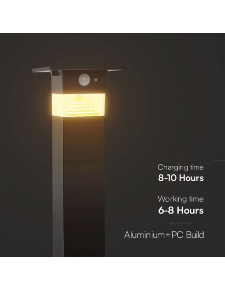 23401-Piantana Solare LED da Giardino  Con Sensore PIR Colore Nero  IP-4