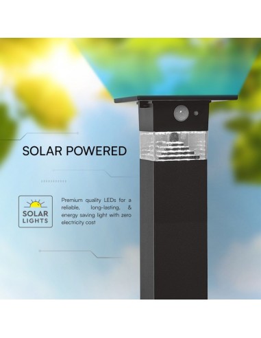 23401-Piantana Solare LED da Giardino  Con Sensore PIR Colore Nero  IP-5
