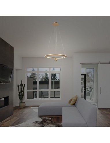 23431-Lampadario LED a Sospensione Circolare  dal Design Regolabile Moderno e Elegante in Metallo xmm Colore Oro Spazzolato -3