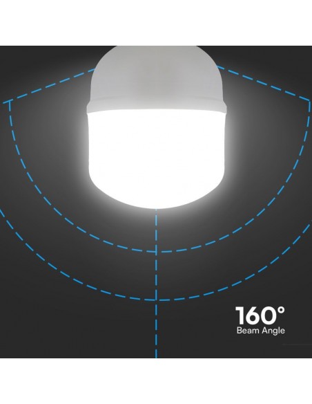 Lampadina LED E27 20W T80 6500K