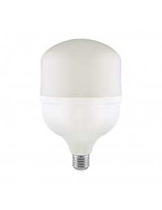 23573-Lampadina LED E-1