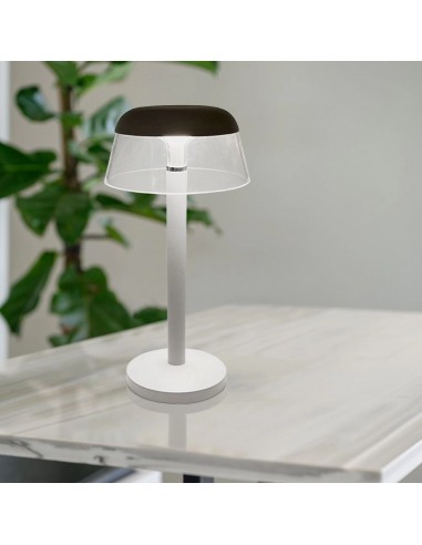 23686-Lampada LED da Tavolo  Colore Bianco in Alluminio Ricaricabile con USB C Touch Dimmerabile CCT in-5