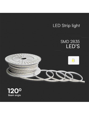 23731-Strip LED V Blu Chiaro SMD /m m  LED/m con Spina  mm-5