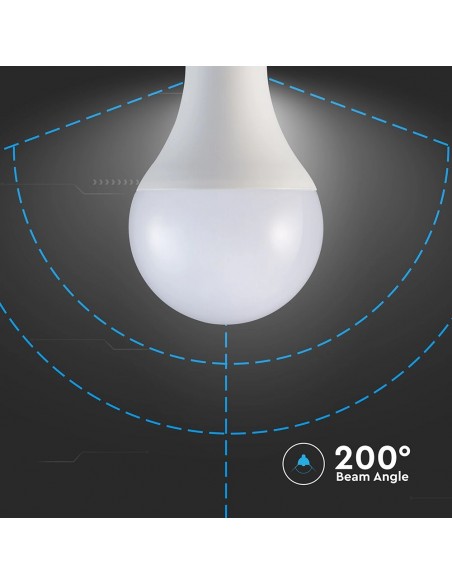 Lampadina LED E27 20W 120LM/W A80 6500K