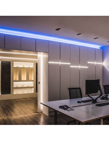 2515-Neon Flex /m  LED/m Bobina m V Blu -4