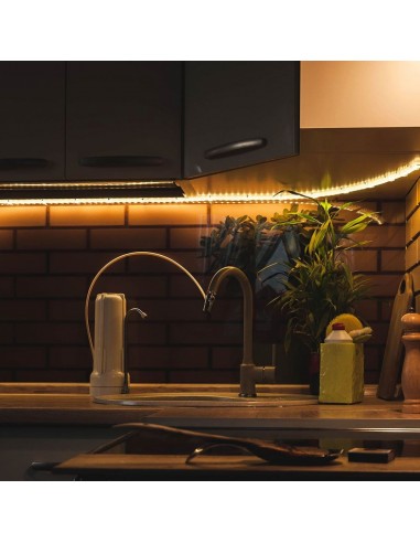 2604-Strip LED SMD /m m  LED/m LM/W V   mm-3