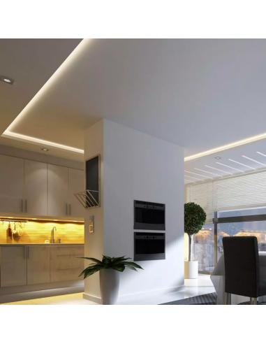 2669-Strip LED COB- /m m V Lm/m  IP mm-5