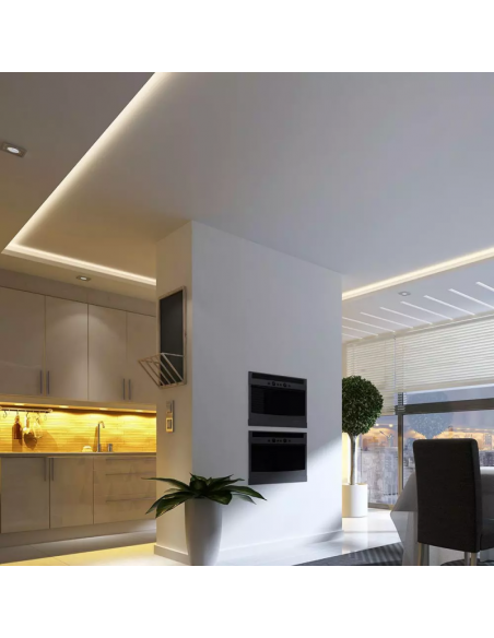 2669-Strip LED COB- /m m V Lm/m  IP mm-5