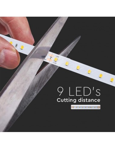 2696-Strip LED SMD /m m  LED/m V LM/W   mm-6