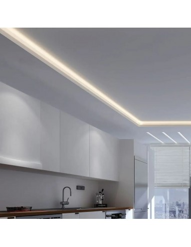 2698-Strip LED SMD /m m  LED/m V LM/W   mm-3