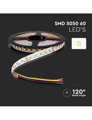 2896-Strip LED SMD /m m  LED/m V RGBCCT  mm-6