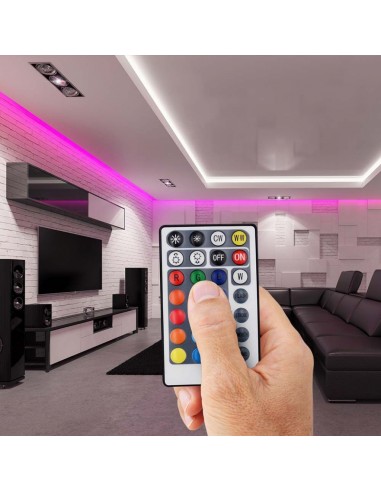 2900-Controller Dimmer Smart WiFi /Infrarossi IR per Strip LED RGBCCT  Canali V/V A con Telecomando  Tasti-3