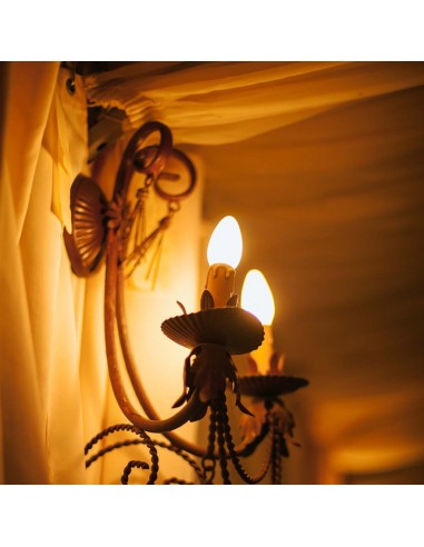 2926-Lampadina LED E -4