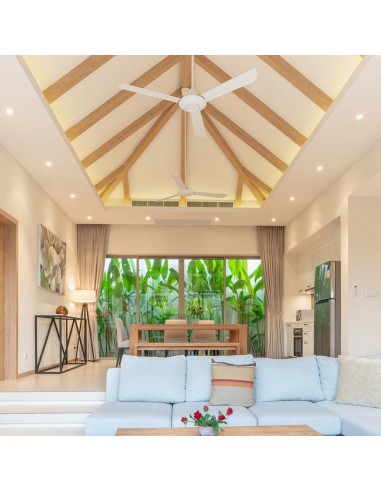 2927-Faretto Smart LED GU  Satinato RF Controller con Telecomando  Tasti RGB Dimmerabile-4