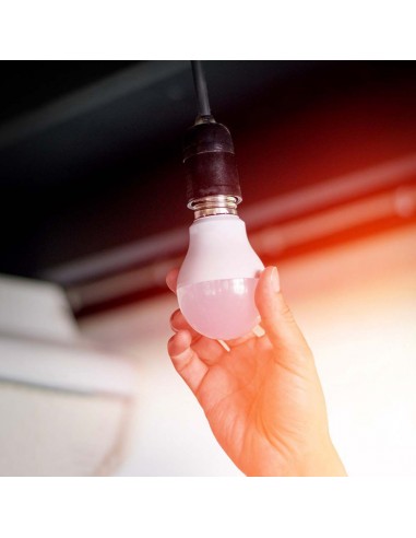 2998-Lampadina LED E -3