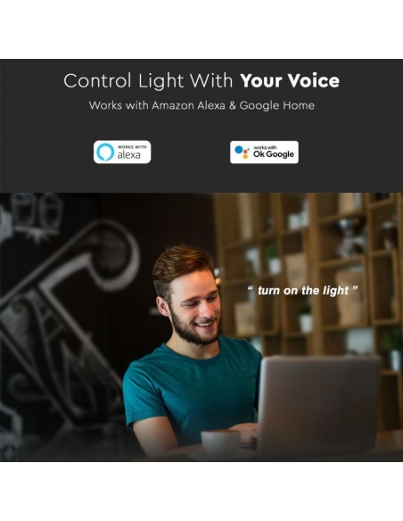 Lampadina LED E27 14W A65 Compatibile con Google Home e Alexa Tramite App Smart RGB e 3 in 1 Dimmerabile