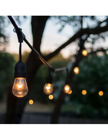 3698-Catenaria m con  Attacchi E -3