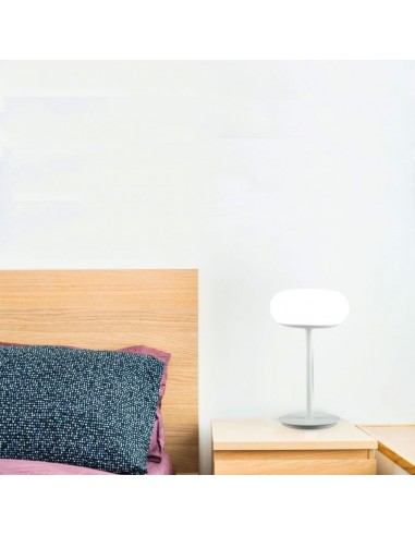 40081-Lampada LED da Tavolo  con Comando Touch e Alimentatore  Dimmerabile-4