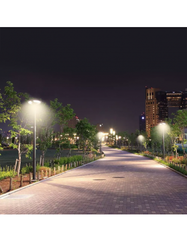 5151-Lampada Solare LED da giardino -3