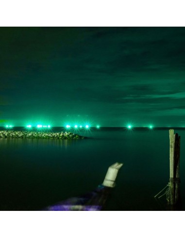 5991-Faro LED SMD  E-Series Colore Verde -4