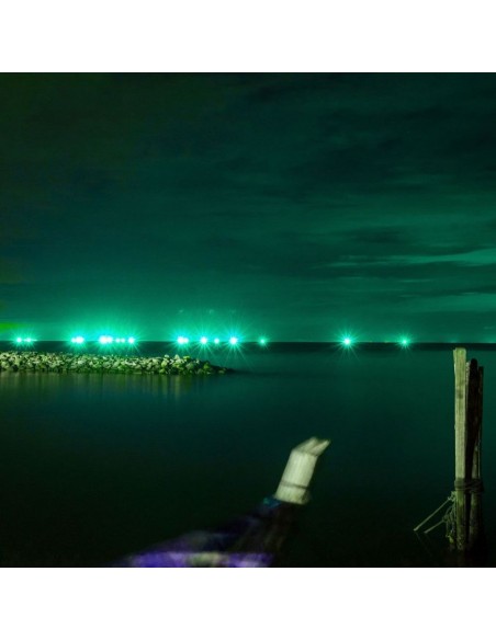 5991-Faro LED SMD  E-Series Colore Verde -4