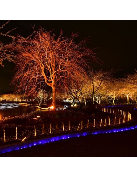 5992-Faro LED SMD  E-Series Colore Rosso -5