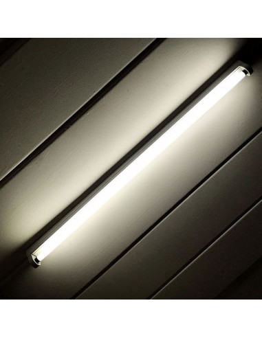 6054-Plafoniera LED Singola per T cm IP-2