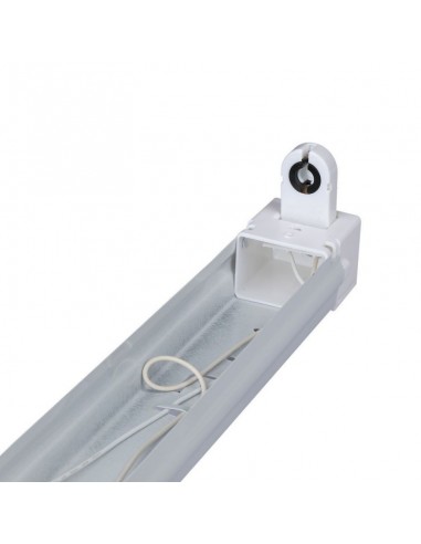 6054-Plafoniera LED Singola per T cm IP-4