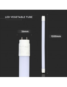 6325-Tubo LED T  G cm per Pescherie-1 2