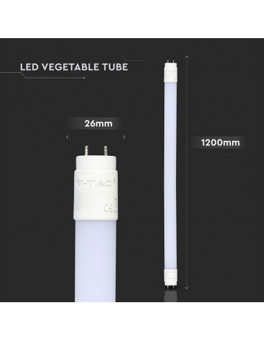 6325-Tubo LED T  G cm per Pescherie-2