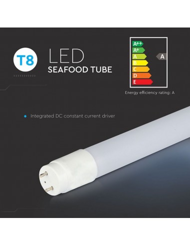6325-Tubo LED T  G cm per Pescherie-4