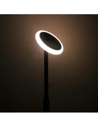 6669-Piantana Solare LED da Giardino  con sensore crepuscolare Colore Bianco e Nero  -5